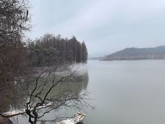 -东湖落雁景区