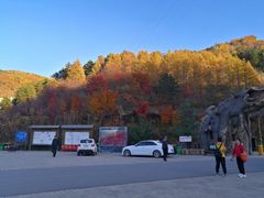 -龙道沟景区