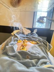 -保丽宝泰母婴护理院·月子中心·产康·中医(常州店)
