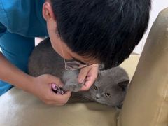 -宠颐生中康贝怡动物医院