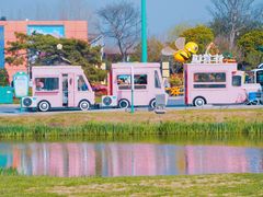 -荷兰花海