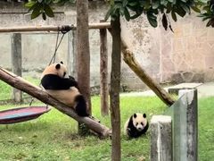 -重庆动物园·东二门售票处