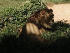 -昆明动物园