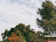 -沙澧河风景区