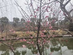 -黄陂区野村谷景区