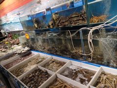 水产区-77号·蒸海鲜青岛菜(积米崖店)