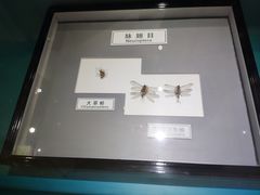 -上海昆虫博物馆