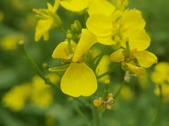 -长春公园(普阳街道)