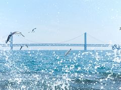 -星海广场