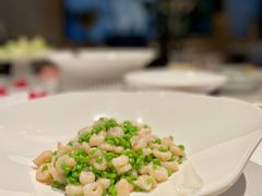 -西郊5号·Maggie 5