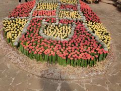 -南通洲际绿博园