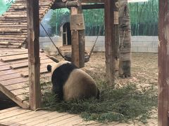 -南昌动物园