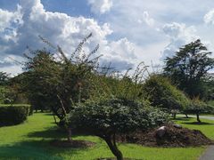 -中国科学院西双版纳热带植物园