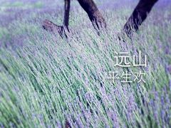 -抚仙湖万达文华酒店