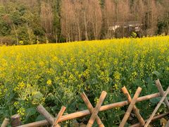 -贵阳市花溪国家城市湿地公园