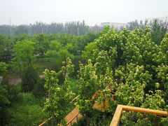 -东郊湿地公园
