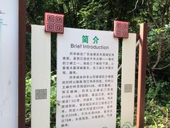 -羚羊峡古栈道森林公园