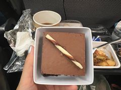 -新加坡航空公司(ION)