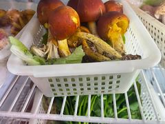 -菌之家·专业纯野生菌火锅·特色炒菌