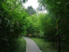 -望江楼公园