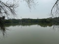 -江心屿景区