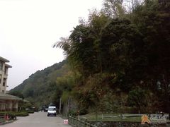 入口处-天明山温泉大酒店