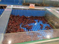 -牛道烤肉海鲜自助