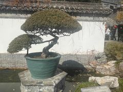 -水绘园
