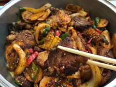 炕锅-尕胡才炕锅烤羊肉馆(八一路店)