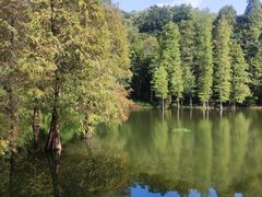 -广州市白云山风景名胜区