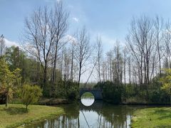 -溱湖国家湿地公园