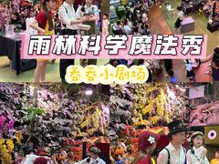 -正佳雨林生态植物园