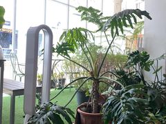 -CHILLAX轻乐时(侨建·Hi City店)