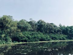 -云溪植物园