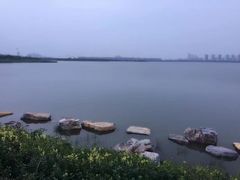 -天津东丽湖风景区