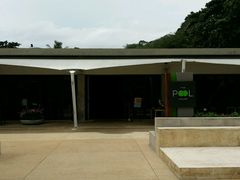 android_upload_pic-普吉岛凯悦酒店