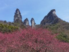 -矮寨·十八洞·德夯大峡谷景区