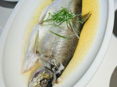 -席家花园(巨鹿花园店)