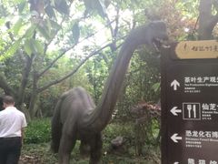 -仙芝竹尖生态园旅游景区