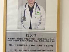 -爱侣宠医·鹦鹉专科·小型哺乳类·异宠专科(灵石路店)