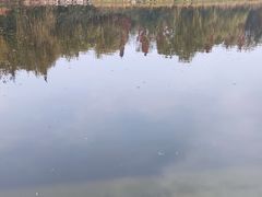 -城市运动公园(未央区)