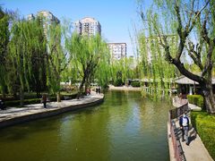 -团结湖公园
