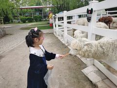 -哈尔滨北方森林动物园