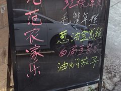 -上海老范农家乐(崇明前卫村店)