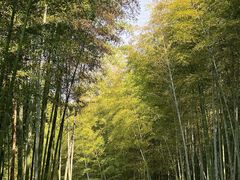 -良渚古城遗址公园