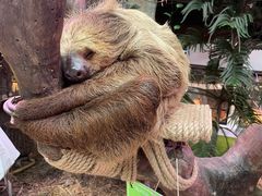 -正佳雨林生态植物园