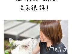 -绿房子方寸咖啡(星海名城店)