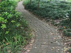 -新江湾城公园