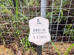 -马峦山郊野公园
