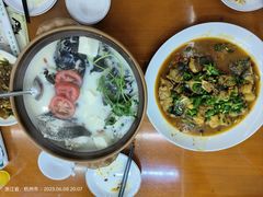 -全乐鱼馆·淳牌有机鱼直营店